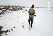 ۲۱۳ مورد شکار و صید غیر مجاز در کرمانشاه کشف شد