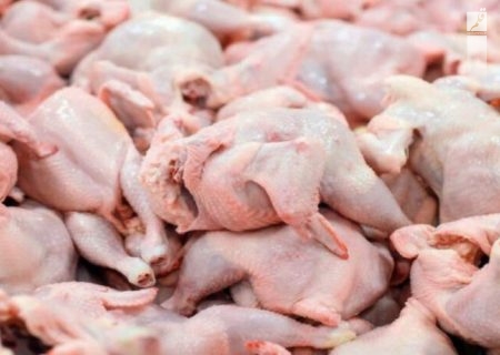 کشف ۲ هزار و ۵۰۰ قطعه مرغ فاقد مجوز بهداشتی در فامنین