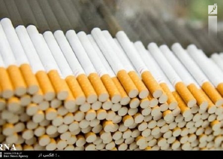 ۲ میلیون نخ سیگار قاچاق در کنگاور کشف شد